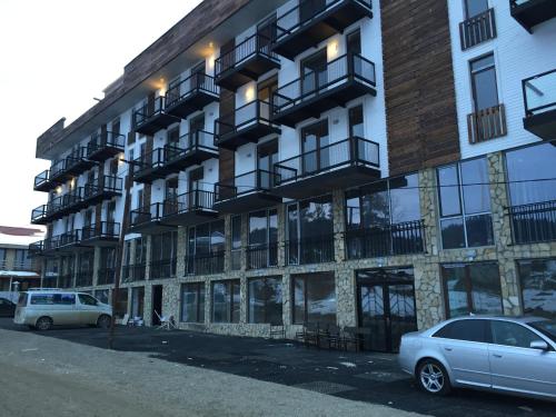 Фотография апарт отеля Ski Resort Bakuriani