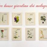 Фотография гостиницы Kosher House Giardino Dei Melograni