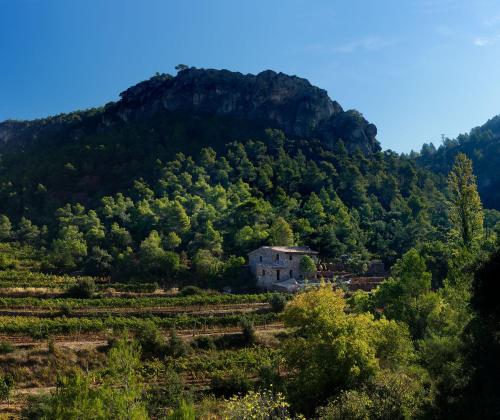 Фотография гостевого дома Les Quimeres