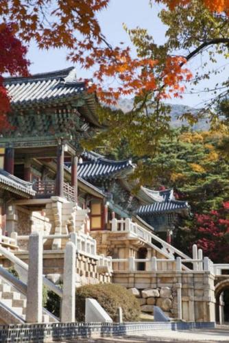 Фотография гостевого дома Bellus-Rose Pension Gyeongju