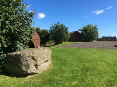 Фотография кемпинга Bower Pods