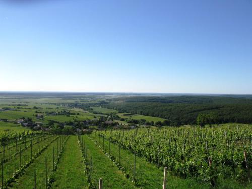 Фотография гостевого дома Ferienwohnung Rossmann Szapary II