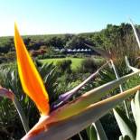 Фотография мини отеля Adrian D'Cap Boutique Manor