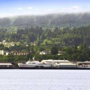 Фотографии мотеля
Super 8 by Wyndham Port Angeles at Olympic National Park