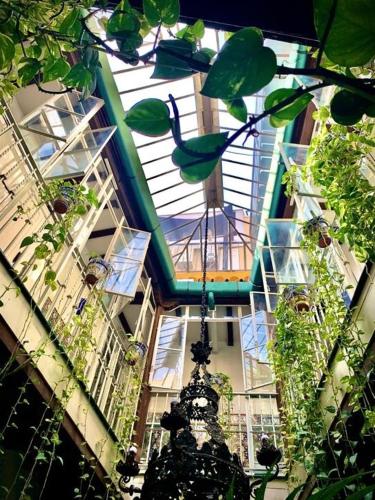 Фотография гостевого дома Hostal Lis