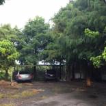 Фотография мини отеля 松舍民宿