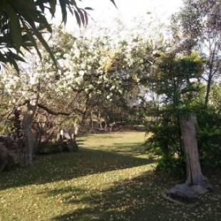 Фотографии мини отеля 
            Pousada Sitio da Serra