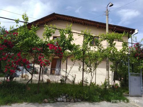 Фотография гостиницы green garden