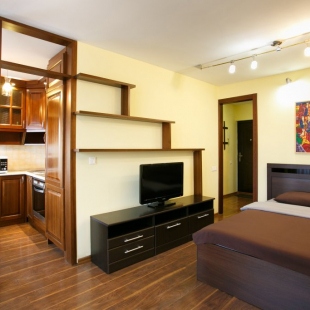 Фотография квартиры Апартаменты на Карла Маркса 135