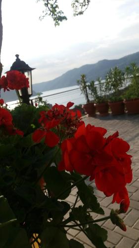 Фотография гостевого дома Casa DucAna