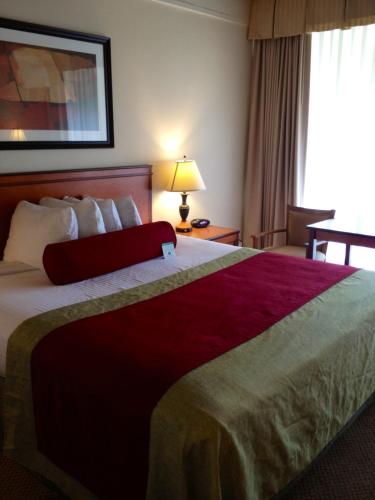 Фотография гостиницы Mikado Hotel