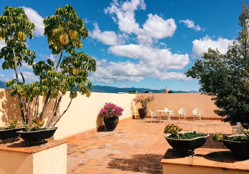 Фотография гостиницы La Noria Centro Historico