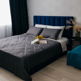 Фотография квартиры Апартаменты Альфа Хоум Плюс на Труда 165