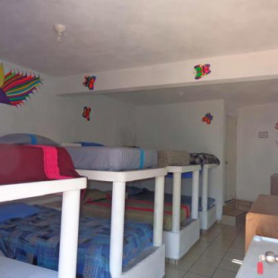 Фотография гостевого дома Posada Joan Sebastian