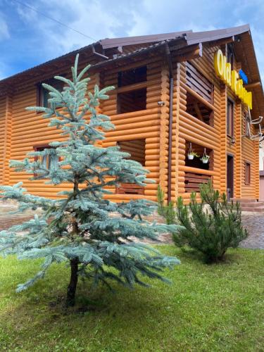 Фотография мини отеля Old Friend