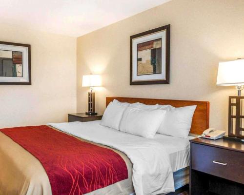 Фотография гостиницы Comfort Inn Avon - North Indianapolis