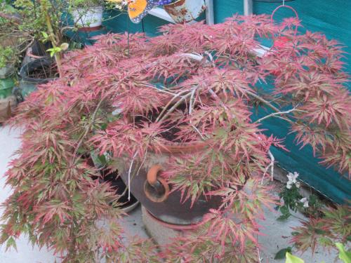 Фотография гостиницы Le Parisien