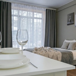 Фотография квартиры Квартира Уютная лаконичная студия у Цирка