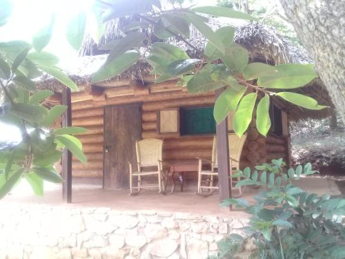 Фотография гостевого дома Room in Lodge - Sierraverde Huasteca Potosina Cabins Palo De Rosa