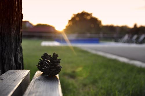 Фотография гостевого дома Guest House Ongal