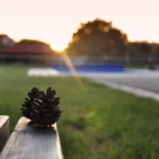 Фотографии гостевого дома
Guest House Ongal