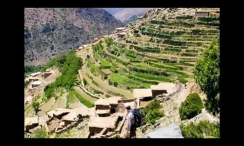 Фотография мини отеля Dar Imoughlad