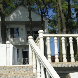 Фотография гостевого дома Beach House Svetland