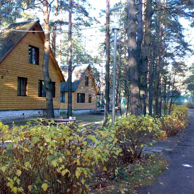 Фотография базы отдыха Улыбышево