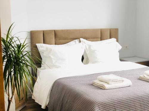 Фотография апарт отеля Central Studio Apartments