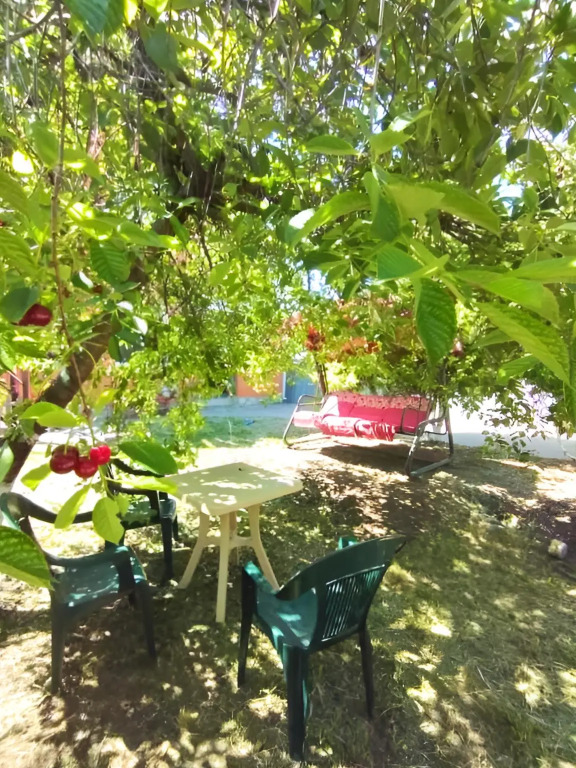 Фотография Коттеджа Частный Дом с Качелей и Поляной