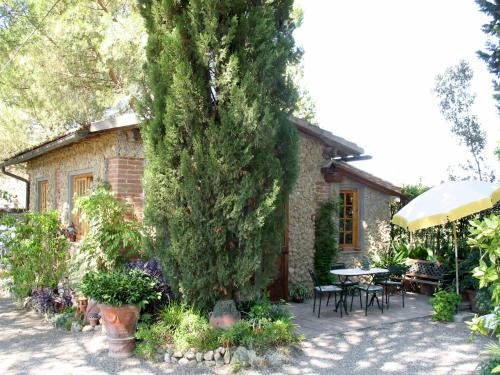 Фотография гостевого дома Locazione Turistica Podere Il Crocino - MNT304