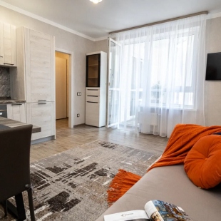 Фотография квартиры Квартира Уютная евродвушка в 5 минутах ходьбы от парка Галицкого и стадиона Ozon Арена