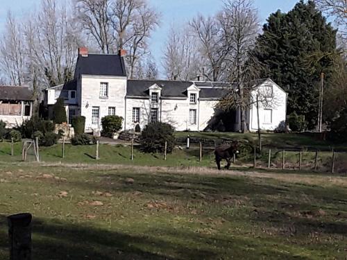 Фотография гостевого дома Chambres d'Hôtes de l'Ile du Saule