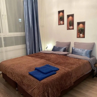 Фотография квартиры Квартира Пятиместная Евродвушка