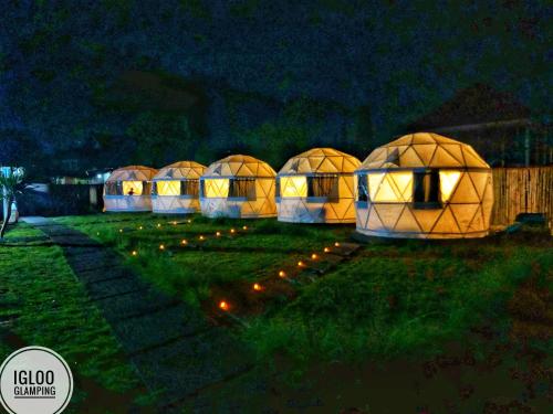 Фотография базы отдыха Igloo Glamping Bali