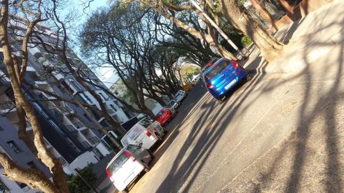 Фотография мини отеля Accommodation Rose Johannesburg