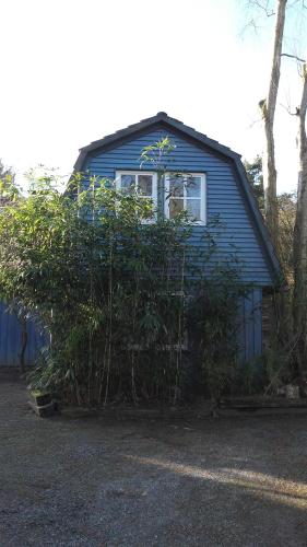 Фотография гостевого дома Blaugemacht-Worpswede