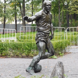 Фотография памятника Памятник Стрельцову Э. А. в Лужниках