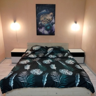 Фотография квартиры Квартира Однокомнатная