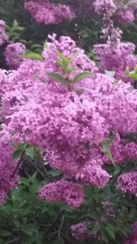 Фотография пансионата Нур