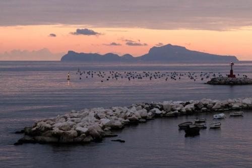 Фотография мини отеля Terrazze del Lungomare
