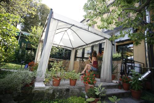 Фотография гостиницы Hotel Adler