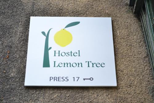 Фотография хостела Lemon Tree Hostel
