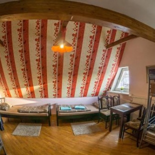 Фотография хостела Mikalo House