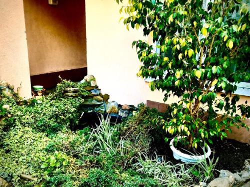 Фотографии гостиницы
На Итальянской