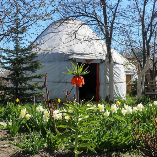 Фотография базы отдыха Yurt In My Garden