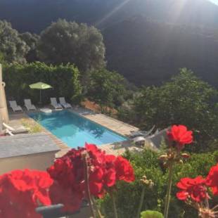 Фотографии гостиницы 
            Villa Les Orangers