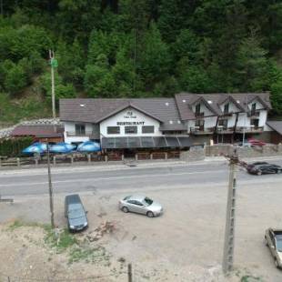 Фотография гостевого дома Pensiunea Bradului