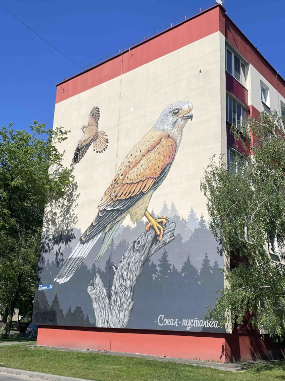 Фотография квартиры Апартаменты Sokol на набережной в пешей доступности к самому центру