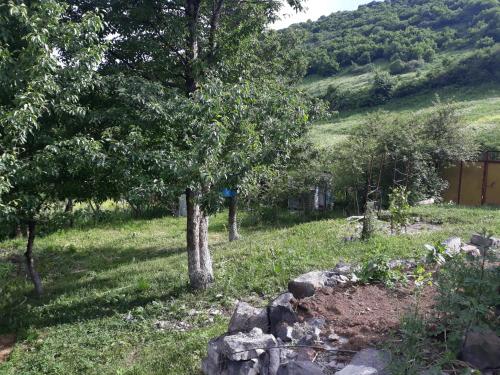 Фотографии кемпинга
Aznvadzor Eco Camp